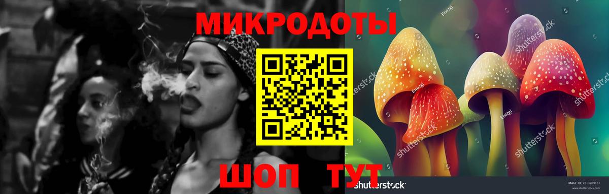 Псилоцибиновые грибы GOLDEN TEACHER Томск